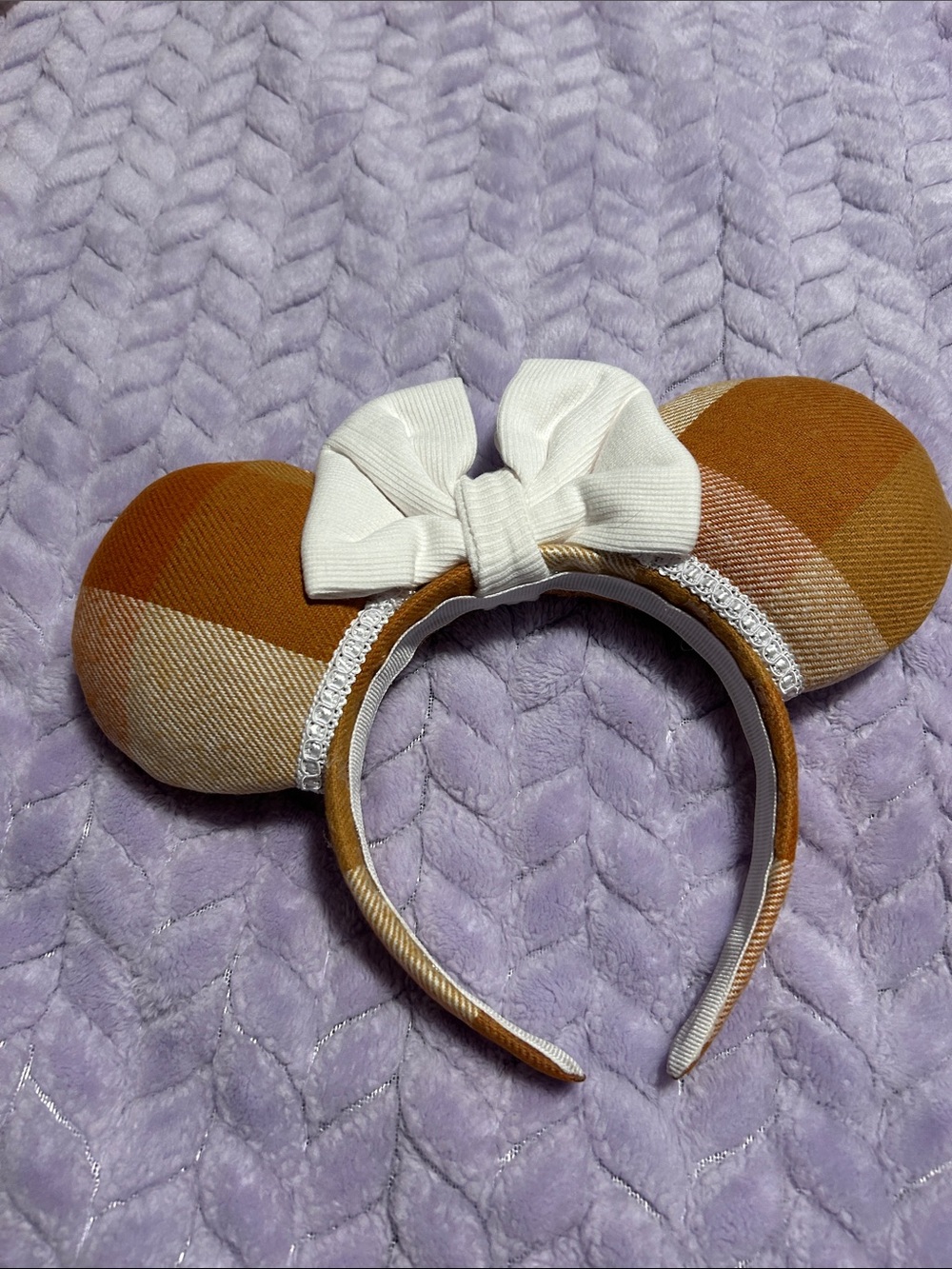 Fall Mickey Ears